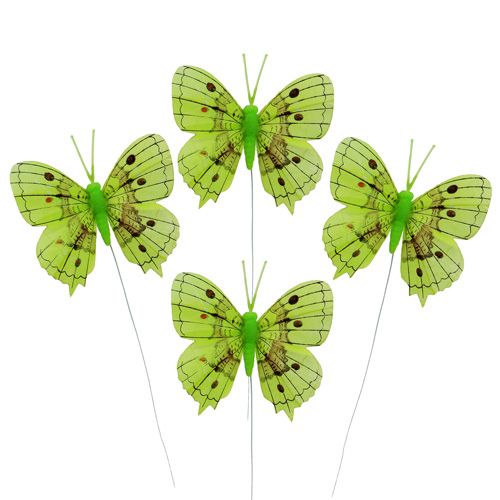 Floristik24 Papillon vert 8cm 6P