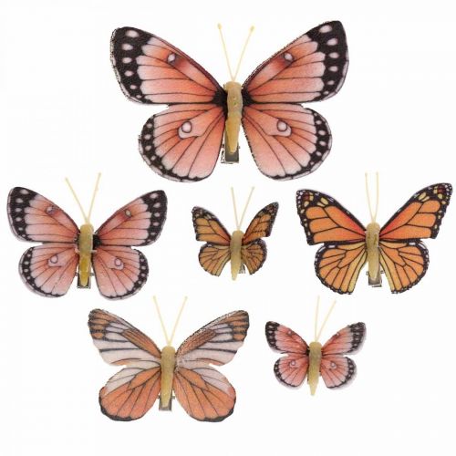 Floristik24 Papillons déco avec clip B4,5–11,5cm 10pcs marron orange