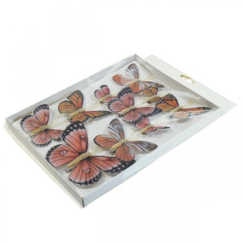 Floristik24 Papillons déco avec clip B4,5–11,5cm 10pcs marron orange