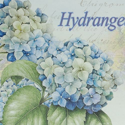 Article Plateau décoratif hortensias plateau en plastique blanc 39×27,5cm