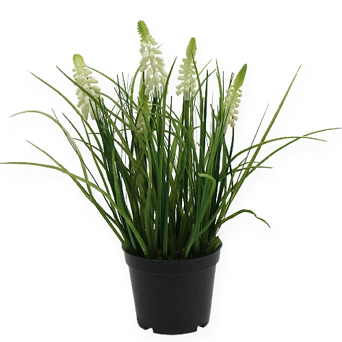 Floristik24 Déco crème de muscari en pot 26cm