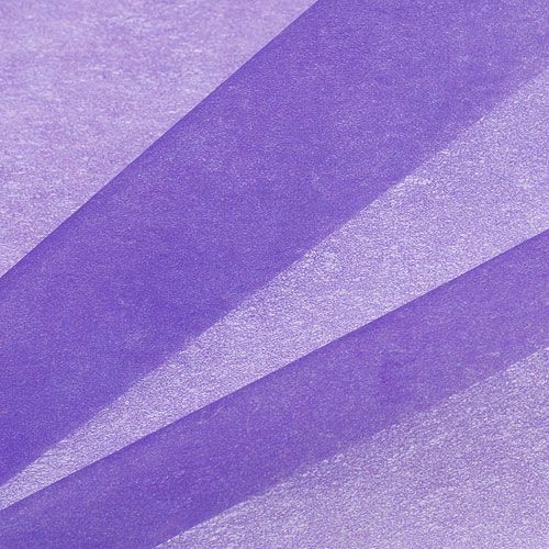 Floristik24 Tissu intissé 60 cm x 20 m violet
