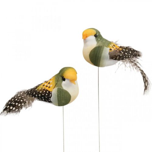 Floristik24 Oiseaux décoratifs mini oiseau sur fil décoration à ressort 3×6cm 12pcs
