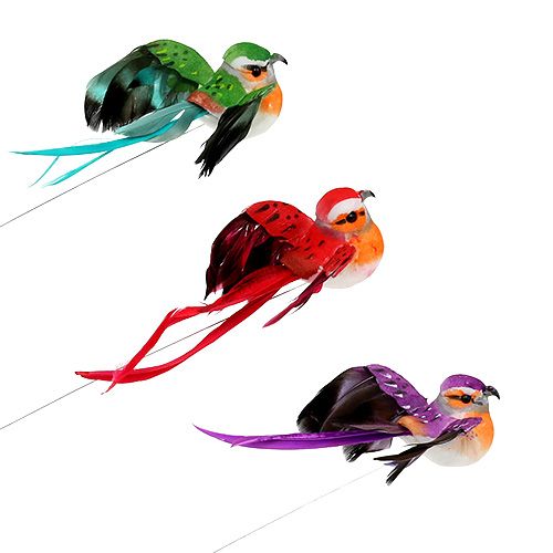Floristik24 Oiseau décoratif assorti 12cm 9pcs