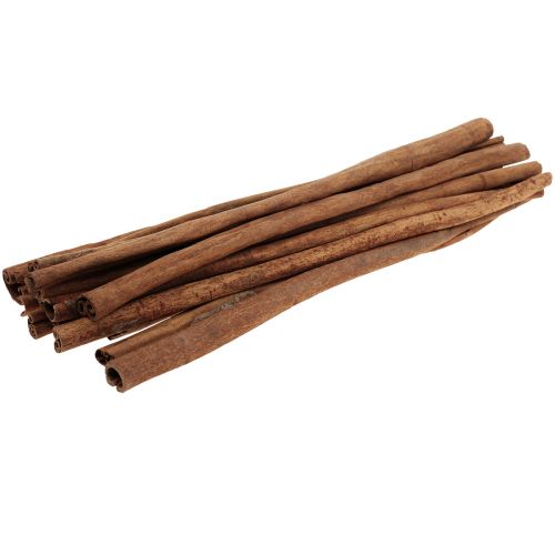 Floristik24 Décoration bâtons de cannelle en bouquet Décoration de Noël à la cannelle 40cm 500g