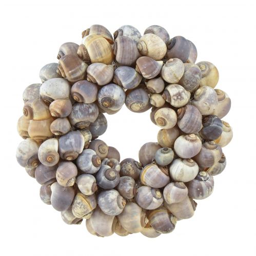 Floristik24 Couronne d&#39;escargots maritimes décorative à suspendre escargots de mer Ø25cm