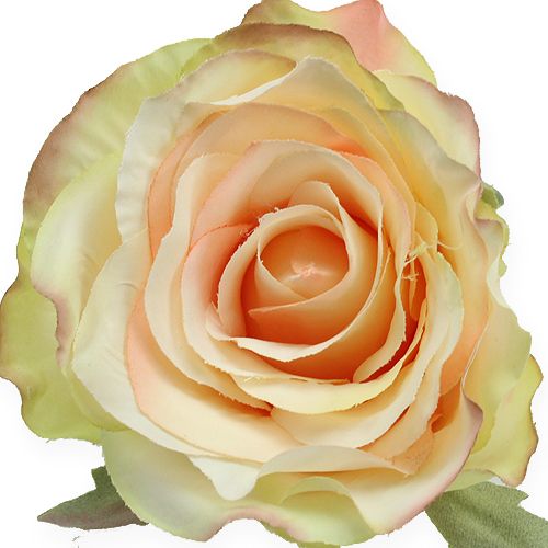 Floristik24 Têtes de roses artificielles Ø9cm 6pcs
