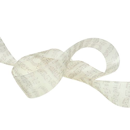 Floristik24 Motif notes ruban déco 40mm 20m