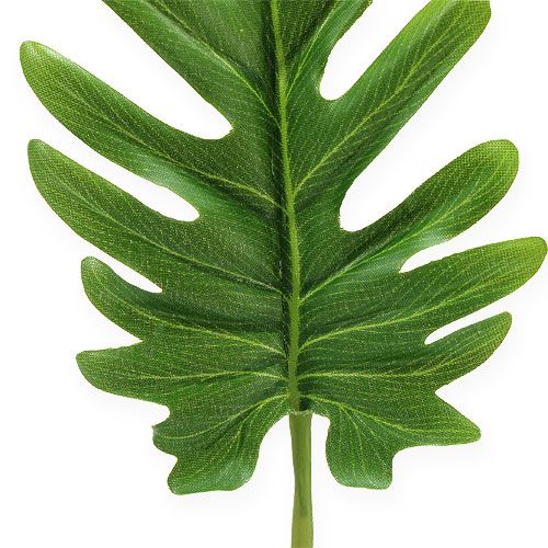 Floristik24 Feuilles décoratives de philodendron vertes l. 10 cm L. 40 cm 6p.
