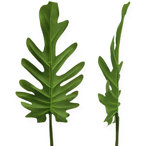 Floristik24 Feuilles décoratives de philodendron vertes l. 10 cm L. 40 cm 6p.