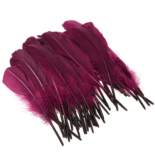 Article Plumes décoratives plumes d&#39;oie bordeaux fournitures artisanales 20g x 2 pièces