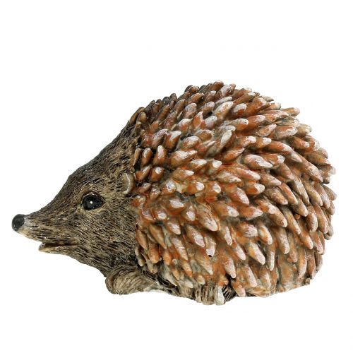 Floristik24 Figurine décorative hérisson marron 6.5cm