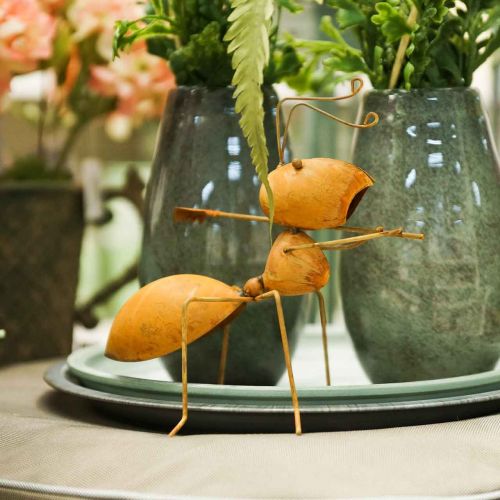 Floristik24 Figurine décorative fourmi métal avec râteau décoration de jardin rouille 21,5cm