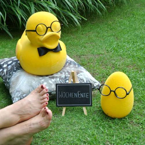Floristik24 Figurine décorative canard à lunettes jaune, décoration estivale amusante, canard décoratif floqué