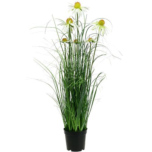 Floristik24 Herbe artificielle avec camomilles en pot 66cm