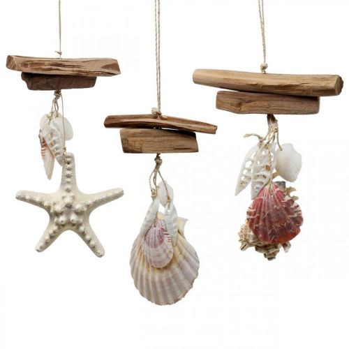 Floristik24 Déco cintre maritime décoration à suspendre coquillages étoile de mer 27cm 3pcs