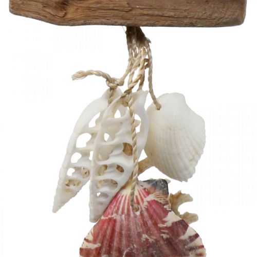 Floristik24 Déco cintre maritime décoration à suspendre coquillages étoile de mer 27cm 3pcs