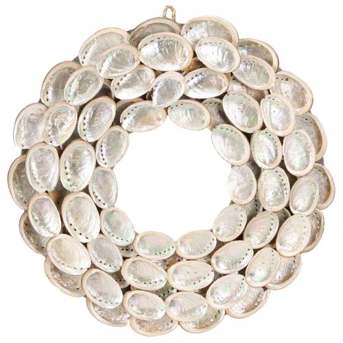 Floristik24 Couronne à suspendre Bois et coquilles d'ormeaux Ø30cm