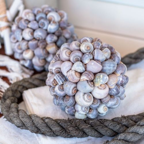 Floristik24 Boule décorative coquillage escargots de mer boule décoration naturelle maritime Ø19cm