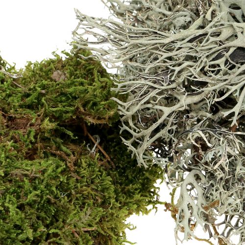 Article Mélange de mousse décorative naturel, vert 500g