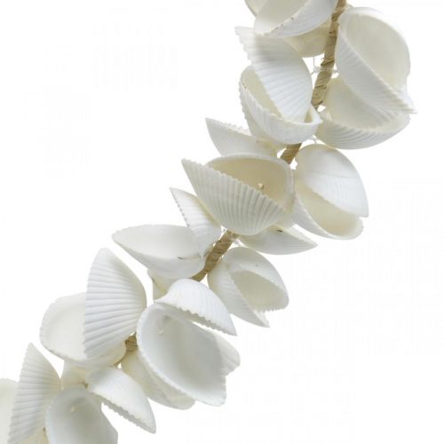 Floristik24 Coeur coquillage, décoration Saint Valentin maritime, coeur décoratif fait de coquillages, décoration mer 34×34cm