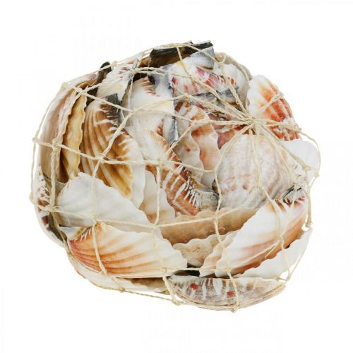 Floristik24 Déco coquillage blanc, rouge Véritables coquillages en filet de raphia décoration de table 400g