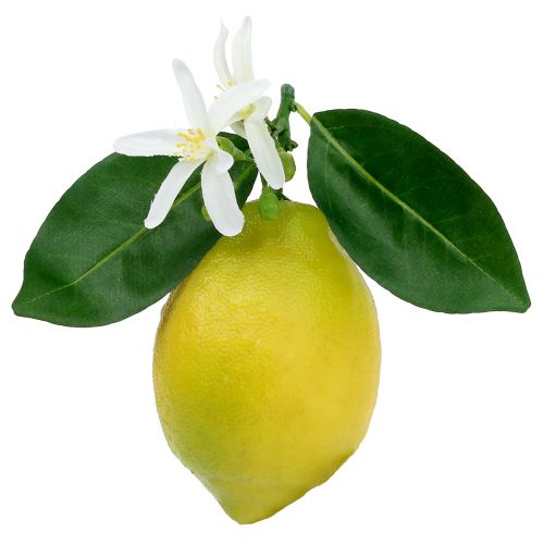 Floristik24 Fruits décoratifs, citrons avec feuilles jaunes 9,5cm 4pcs