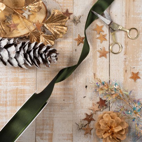 Ruban décoratif, ruban en taffetas brillant pour la décoration, 25 mm de large, 50 m de long | Floristik24.be
