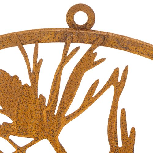 Anneau décoratif en métal, décoration murale en acier patiné, branche de pin, Ø38cm | Floristik24.be