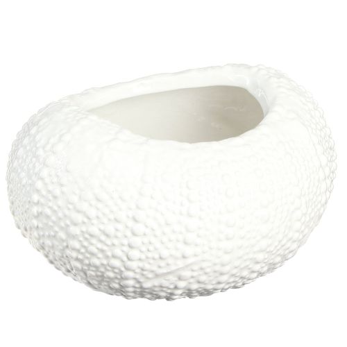 Article Bol décoratif ovale maritime en céramique blanc 19x15x8,5cm