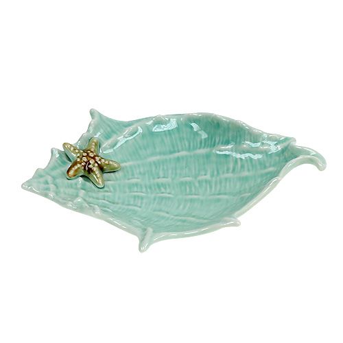 Floristik24 Coupe décorative coquillage 22 cm