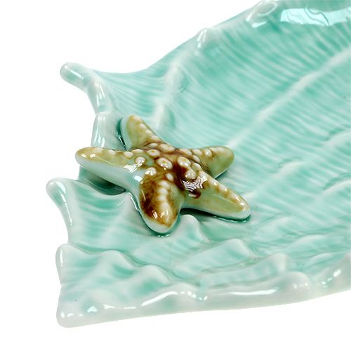 Floristik24 Coupe décorative coquillage 22 cm
