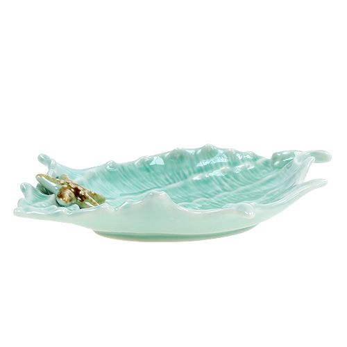 Floristik24 Coupe décorative coquillage 22 cm