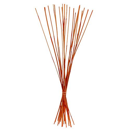 Floristik24 Bâtons décoratifs Éléphant Roseau Orange 20 pcs