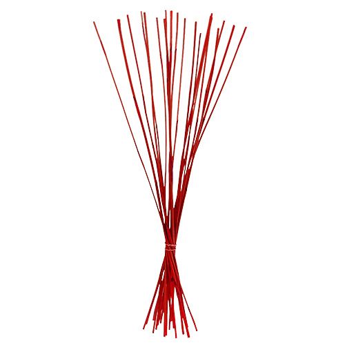 Floristik24 Bâtons décoratifs, Elephant Reed Rouge 20 pcs