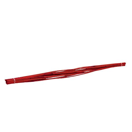 Floristik24 Bâtons décoratifs, Elephant Reed Rouge 20 pcs