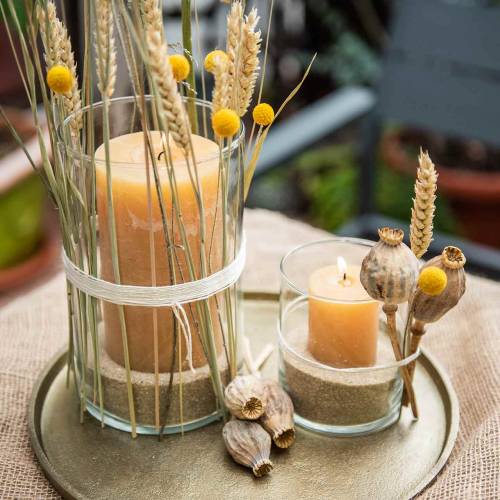 Floristik24 Assiette décorative en terre cuite Ø30cm or