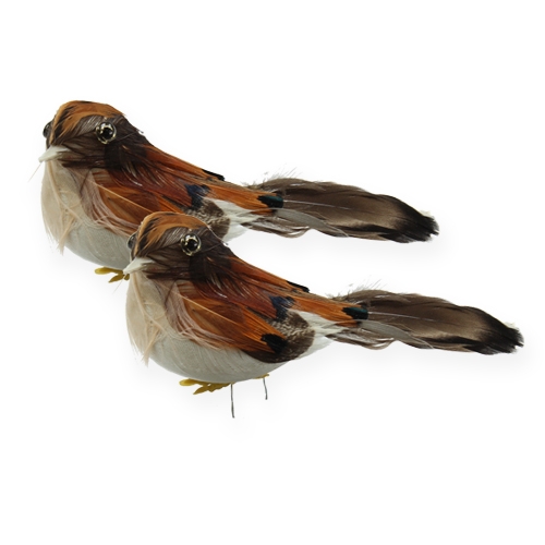 Floristik24 Oiseaux déco 9cm sur fil 16 pcs