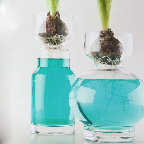 Floristik24 Colorant pour eau bleu 150 ml