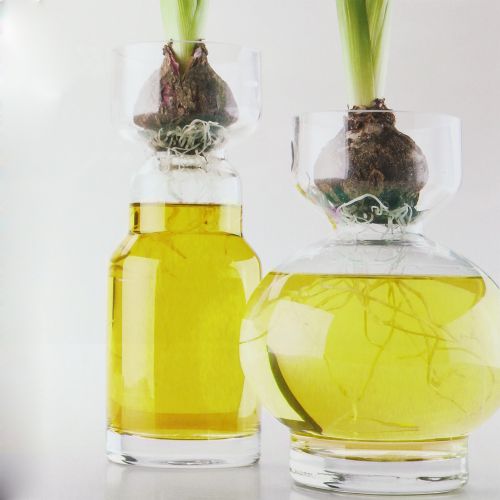 Floristik24 Eau décorative jaune 150ml