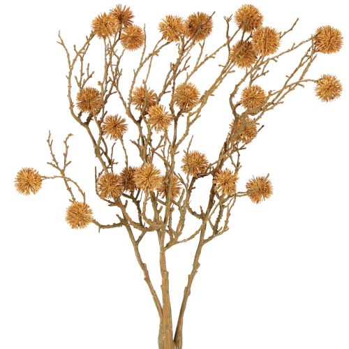 Branche décorative de liquidambar fruitier décoration ocre marron 48cm
