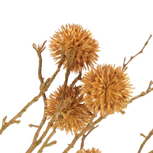 Article Branche décorative de liquidambar fruitier décoration ocre marron 48cm