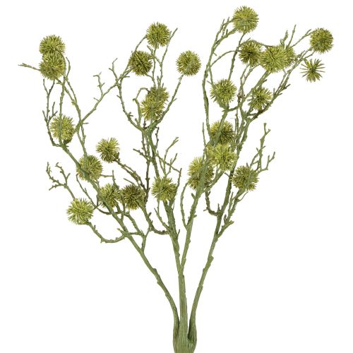 Floristik24 Branche décorative de liquidambar fruits vert clair 48cm
