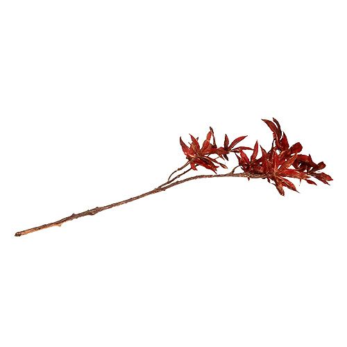 Floristik24 Broche déco rouge foncé avec mica 52cm