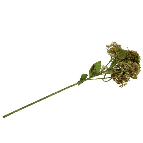 Floristik24 Branche décorative orpin vert 58 cm