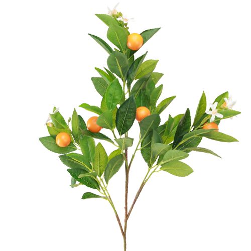 Floristik24 Branche d&#39;oranger décorative et fleurs Branche d&#39;oranger artificielle 78cm