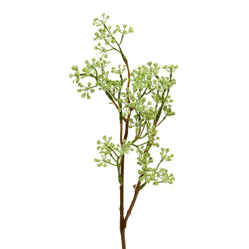 Floristik24 Branche décorative verte L. 43 cm 4 p.