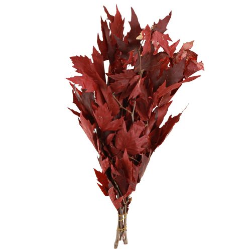 Floristik24 Branches décoratives feuilles d&#39;érable feuilles d&#39;érable décoratives rouges 50-60cm 100g