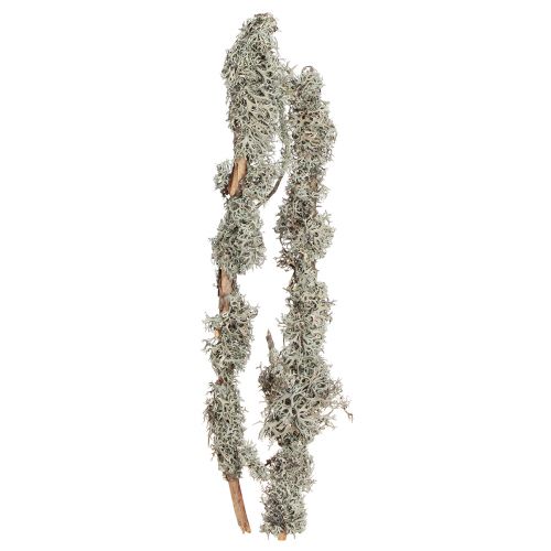 Article Branches décoratives mousse grise branches décoratives branches de lichen 30-60cm 1kg
