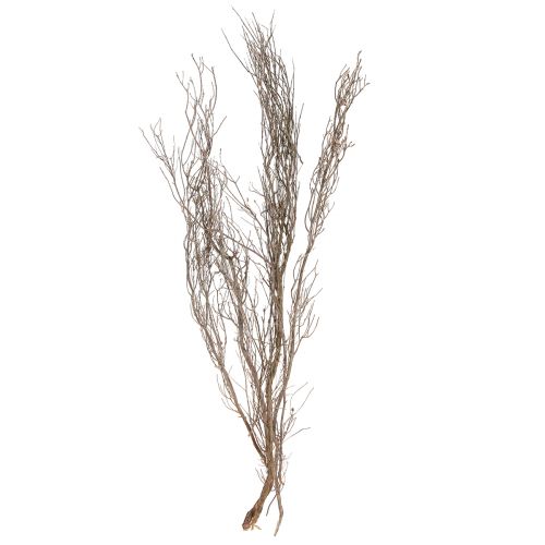 Floristik24 Branches décoratives Branches de thym décoratives naturelles séchées 500g